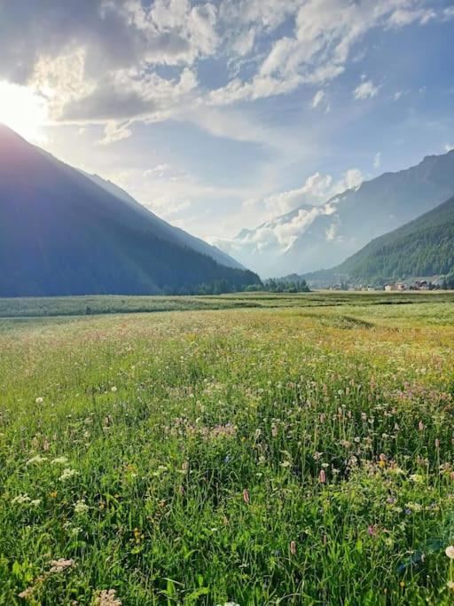 Villa Costa Da Lori Cogne Bagian luar foto