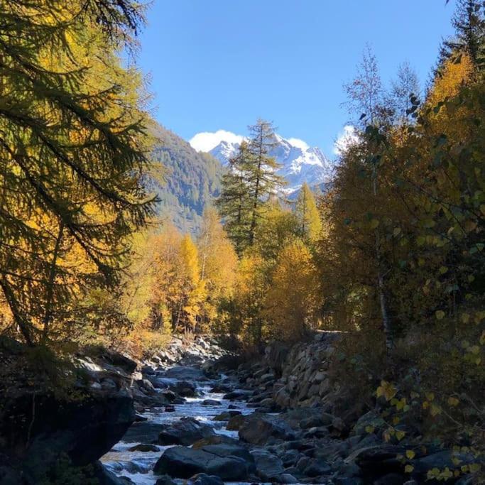 Villa Costa Da Lori Cogne Bagian luar foto